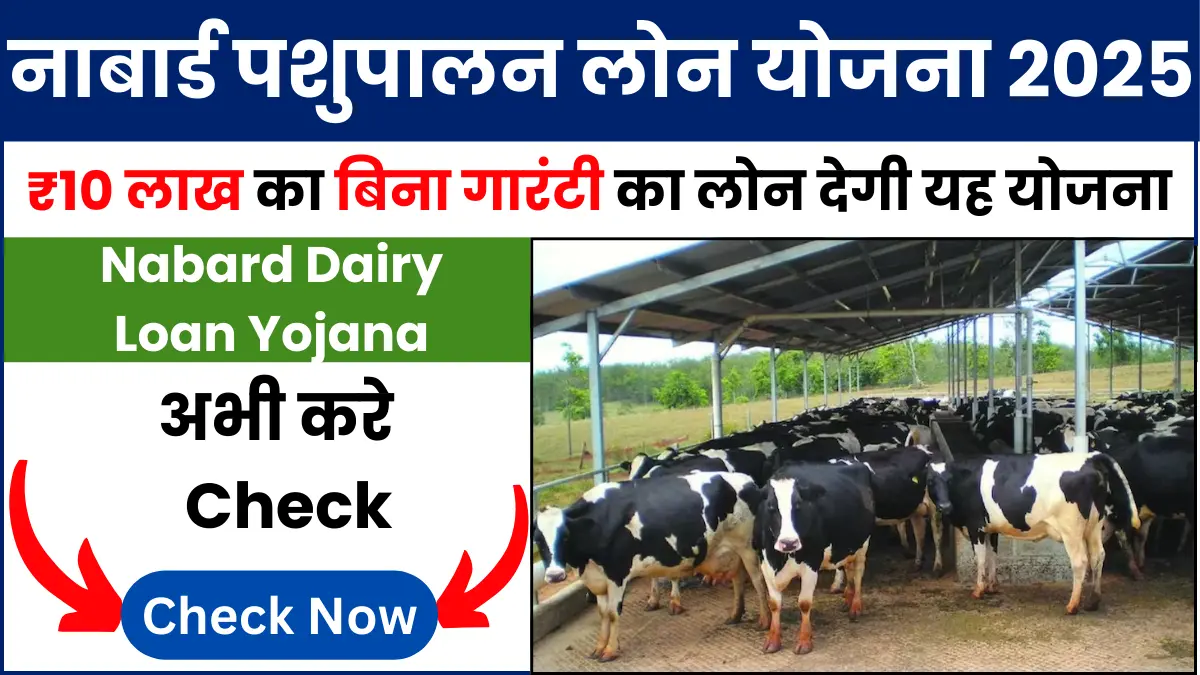 Nabard Dairy Loan Yojana 2024